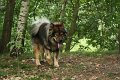 filou 20 (3)